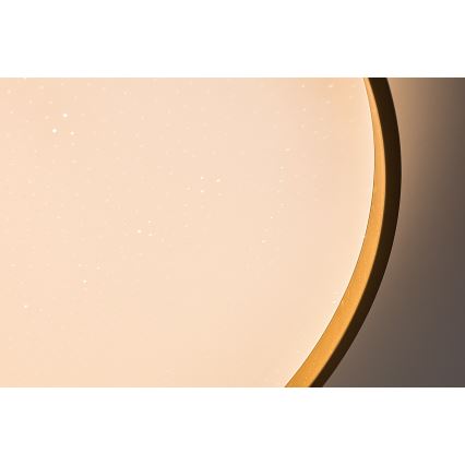 Rabalux - Luminaria de techo LED regulable LED/60W/230V 3000-6500K diámetro 58 cm + mando a distancia