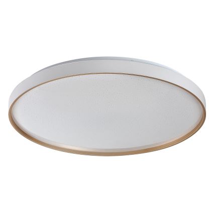 Rabalux - Luminaria de techo LED regulable LED/80W/230V 3000-6500K Ø 77 cm + mando a distancia