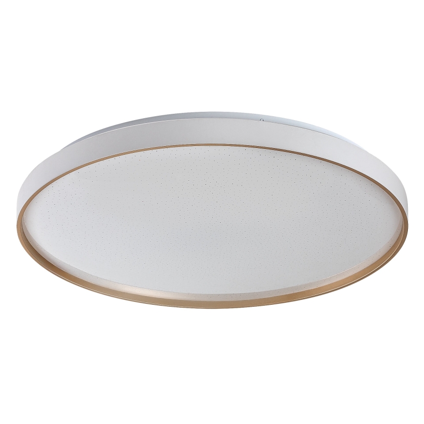 Rabalux - Luminaria de techo LED regulable LED/80W/230V 3000-6500K Ø 77 cm + mando a distancia