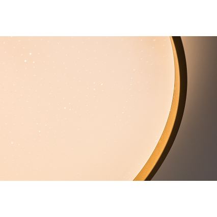 Rabalux - Luminaria de techo LED regulable LED/80W/230V 3000-6500K Ø 77 cm + mando a distancia
