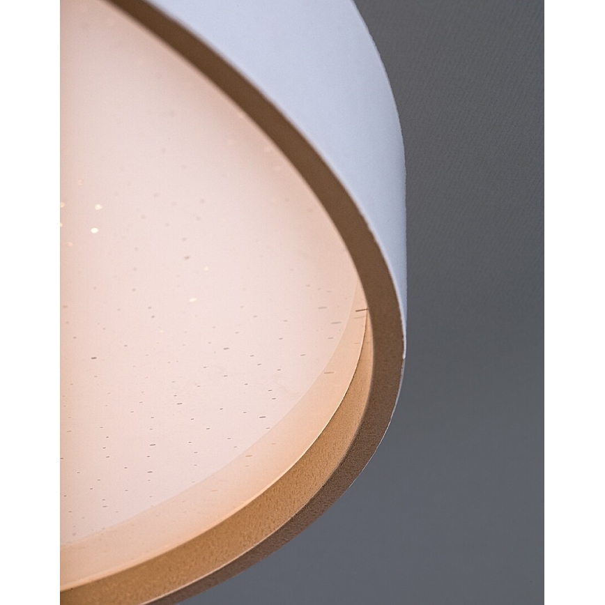Rabalux - Luminaria de techo LED regulable LED/80W/230V 3000-6500K Ø 77 cm + mando a distancia