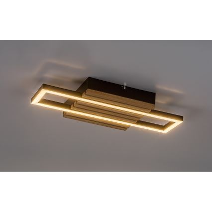 Rabalux - Lámpara de techo LED/12W/230V 3000/4500/6000K