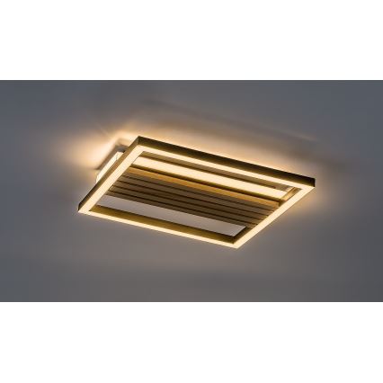 Rabalux - LED Lámpara de techo LED/26W/230V 3000/4500/6000K