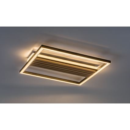 Rabalux - Luminaria de techo LED/30W/230V 3000/4500/6000K