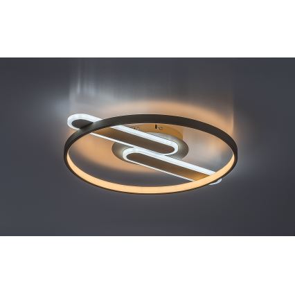 Rabalux - Luminaria de techo LED regulable LED/55W/230V 3000-6000K 53x45 cm + mando a distancia