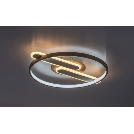 Rabalux - Luminaria de techo LED regulable LED/55W/230V 3000-6000K 53x45 cm + mando a distancia