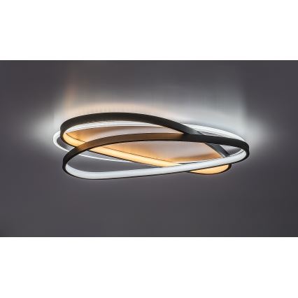 Rabalux - Lámpara de techo LED regulable LED/57W/230V 3000-6000K 53x38 cm + mando a distancia