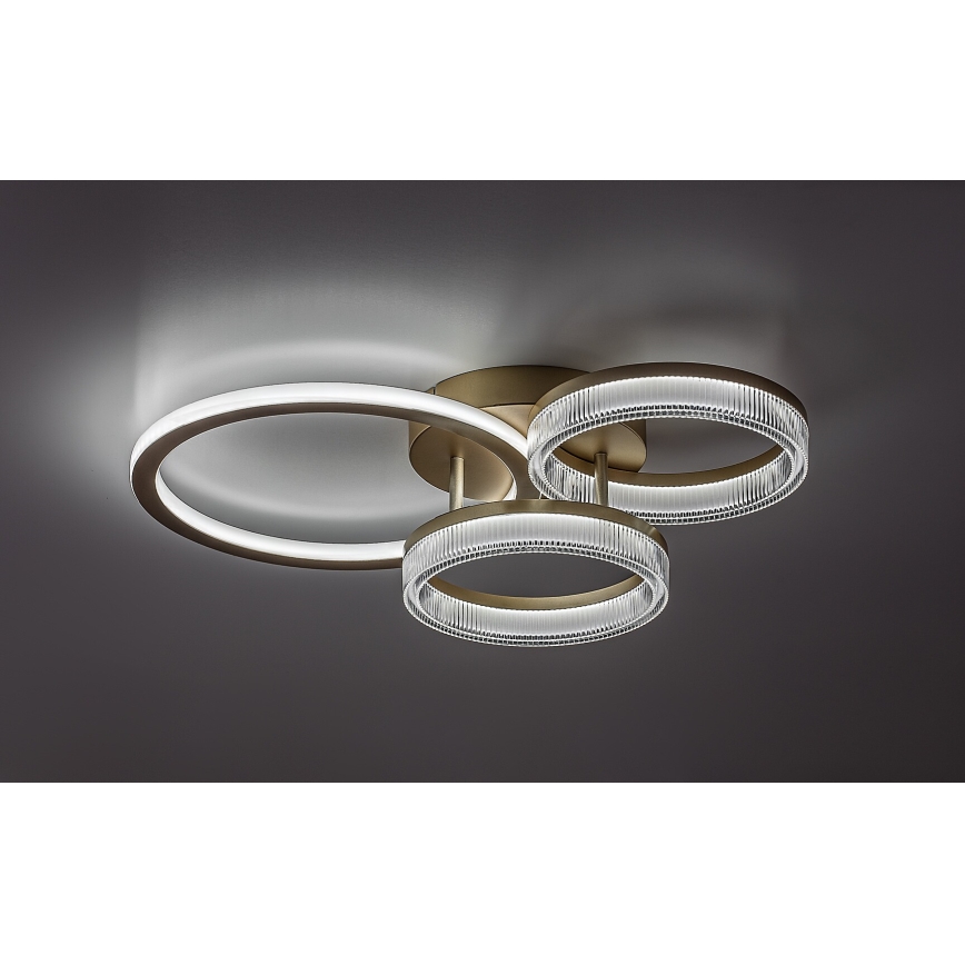 Rabalux - Plafón LED regulable LED/38W/230V 3000-6500K 58,5x38 cm + mando a distancia
