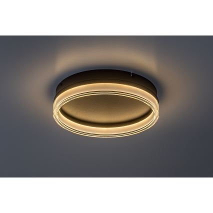 Rabalux - Luminaria de techo LED regulable LED/18W/230V 3000-6500K Ø 33 cm + mando a distancia