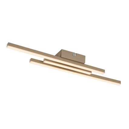 Rabalux - Lámpara de techo LED LED/18W/230V 3000K beige