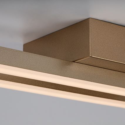 Rabalux - Luminaria de techo LED LED/12W/230V 3000K en acabado dorado