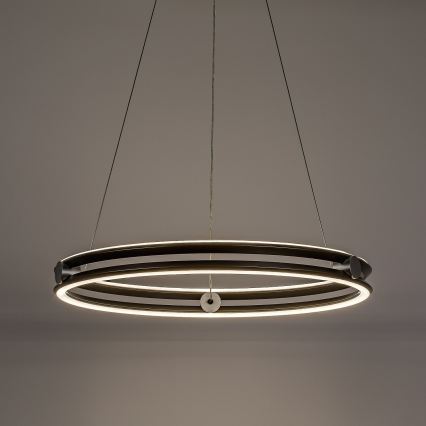 Rabalux - LED Lámpara colgante regulable con cable LED/60W/230V 3000-6500K gris + mando a distancia