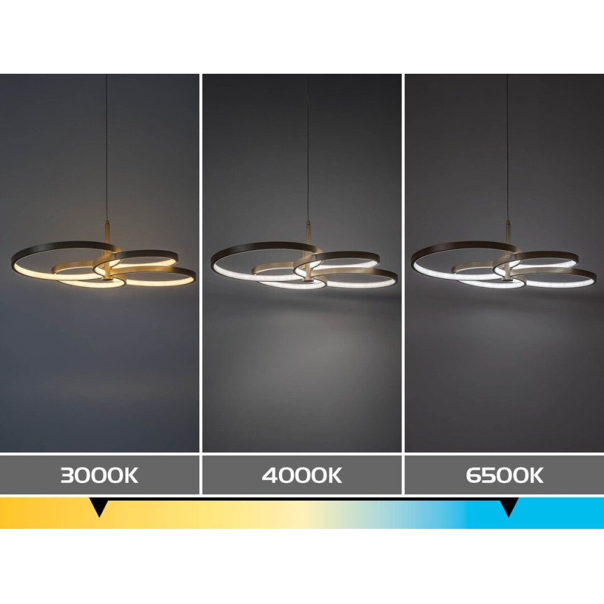 Rabalux - Lámpara colgante LED regulable con cable LED/70W/230V 3000-6500K + mando a distancia