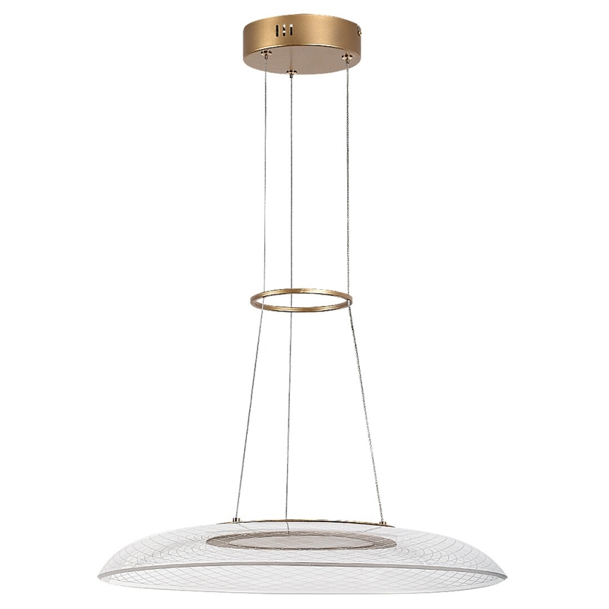 Rabalux - Lámpara colgante LED con cable LED/24W/230V 3000K