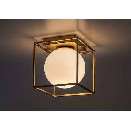 Rabalux - Aplique de pared para exteriores 1xE14/15W/230V IP44 dorado