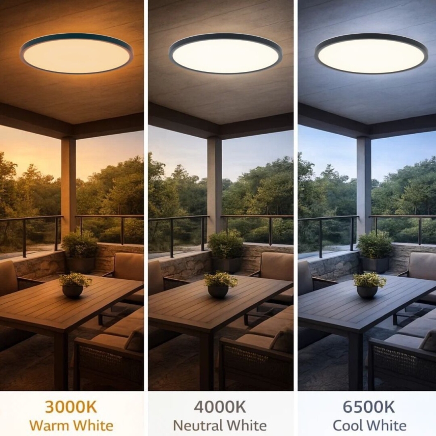 Rabalux - Plafón LED para baño 24W/230V 3000/4000/6000K Ø 40 cm IP44 negro