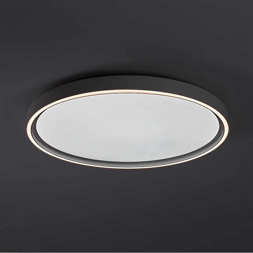 Rabalux - Plafón LED regulable 54W/230V IP40 3000-6500K Ø 52 cm + mando a distancia