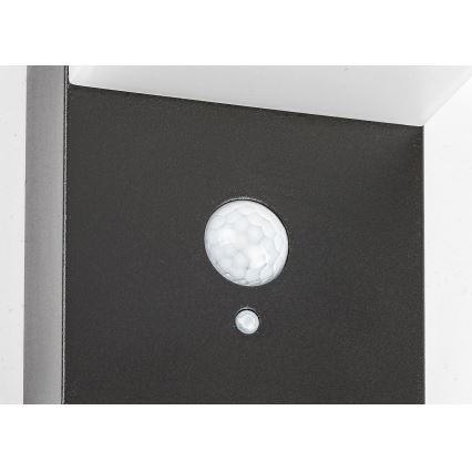 Rabalux - Lámpara solar LED con sensor LED/6W/3,7V IP44 2200 mAh