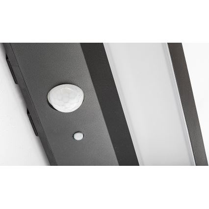 Rabalux - Lámpara solar LED con sensor LED/6W/3,7V IP44 2200 mAh