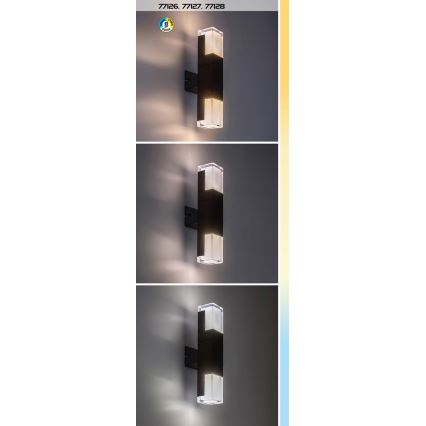 Rabalux - Aplique LED para exterior LED/12W/230V 2700/4000/6000K IP54