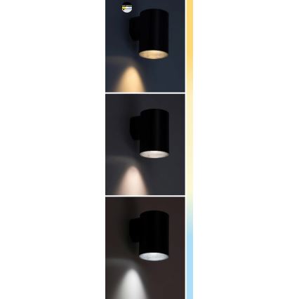 Rabalux - Aplique LED para exterior LED/9W/230V 2700/4000/6500K IP65 negro