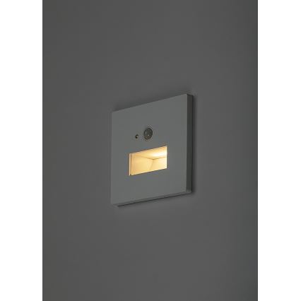 Rabalux - Luminaria LED para escalera con sensor de movimiento y sensor crepuscular LED/1W/230V 3000/4500/6500K blanco
