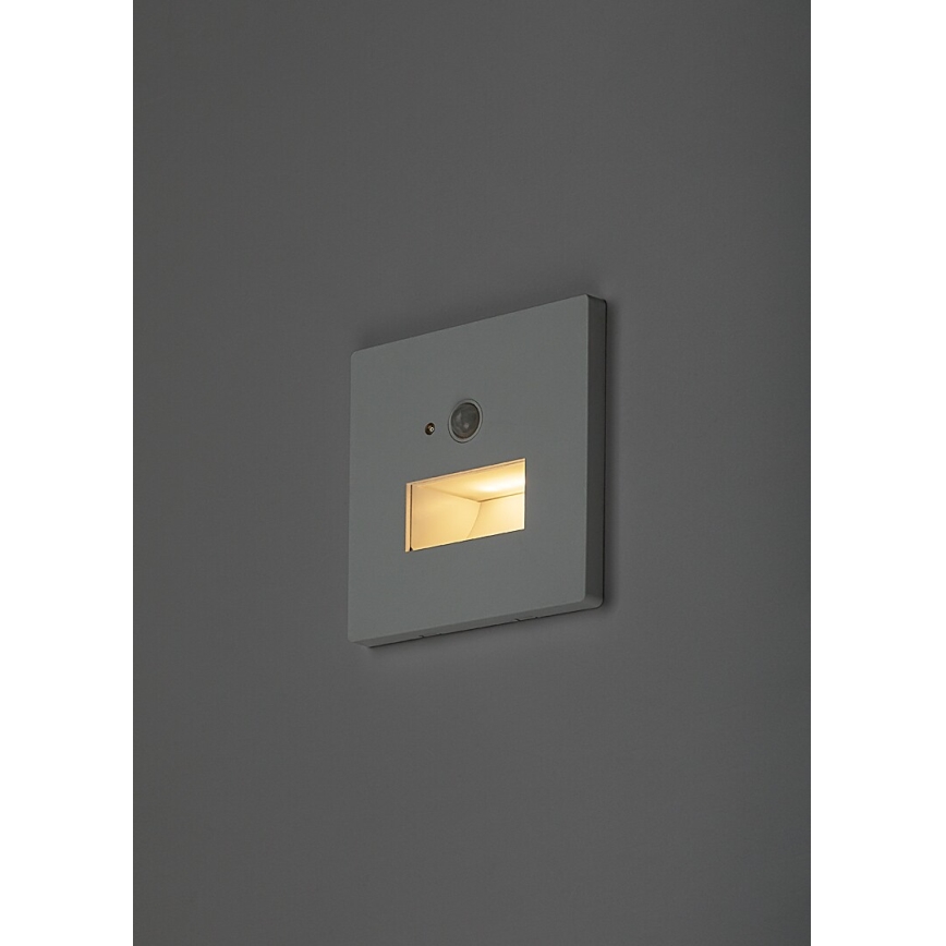 Rabalux - Luminaria LED para escalera con sensor de movimiento y sensor crepuscular LED/1W/230V 3000/4500/6500K blanco