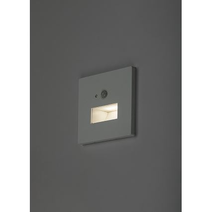 Rabalux - Luminaria LED para escalera con sensor de movimiento y sensor crepuscular LED/1W/230V 3000/4500/6500K blanco