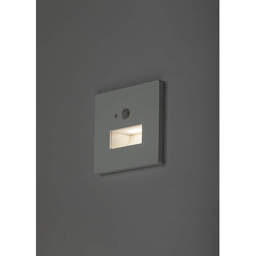 Rabalux - Luminaria LED para escalera con sensor de movimiento y sensor crepuscular LED/1W/230V 3000/4500/6500K blanco
