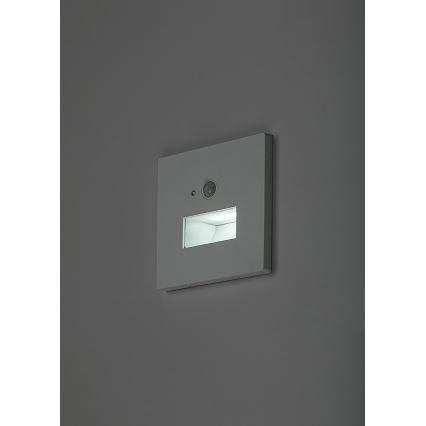 Rabalux - Luminaria LED para escalera con sensor de movimiento y sensor crepuscular LED/1W/230V 3000/4500/6500K blanco