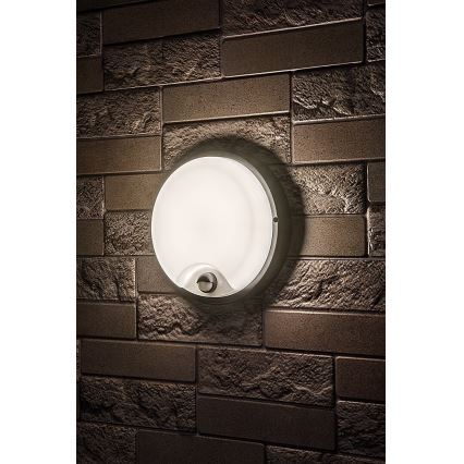 Rabalux - Aplique LED exterior con sensor LED/18W/230V IP65 negro