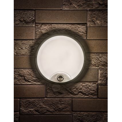 Rabalux - Aplique LED exterior con sensor LED/18W/230V IP65 negro