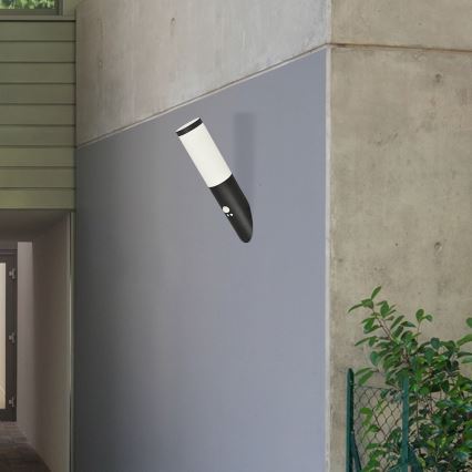 Rabalux - Lámpara de pared exterior con sensor 1xE27/25W/230V IP44