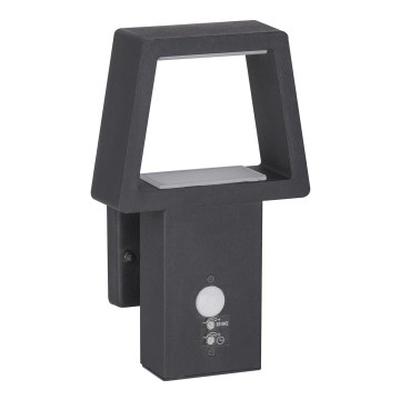 Rabalux 8668 - Iluminación exterior con sensor ARIZONA 1xLED/10,5W/230V IP44