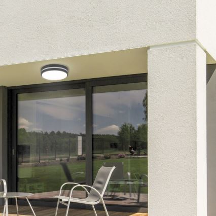 Rabalux - Lámpara de techo exterior LED HAMBURG LED/12W/230V IP44
