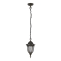 Rabalux - Lámpara colgante exterior 1xE27/60W/230V