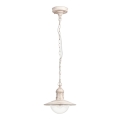 Rabalux - Lámpara colgante exterior 1xE27/60W IP44