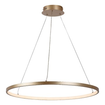 Rabalux - Lámpara colgante LED en cable LED/55W/230V 3000K