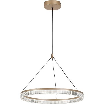 Rabalux - Lámpara colgante LED regulable con cable LED/24W/230V 3000-6500K + control remoto