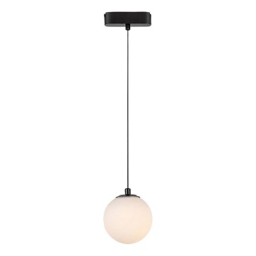 Rabalux - Lámpara de araña LED para sistema de riel monofásico LED/5W/24V 3000K negro