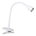 Rabalux - Lámpara de escritorio LED con clip LED/4,5W/230V