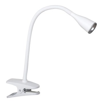 Rabalux - Lámpara de escritorio LED con clip LED/4,5W/230V