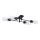 Rabalux - Lámpara de techo de superficie 4xE27/40W/230V 21,5x82 cm