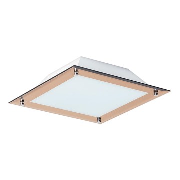 Rabalux - Lámpara de techo LED LARS 1xLED/12W/230V 30x30 cm