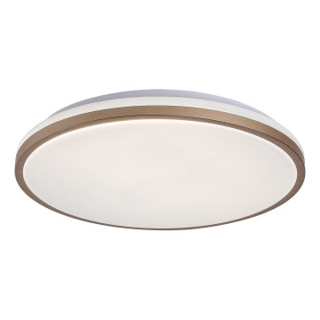 Rabalux - Lámpara de techo LED para baño/LED/18W/230V IP44 Ø 34 cm