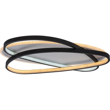 Rabalux - Lámpara de techo LED regulable LED/57W/230V 3000-6000K 53x38 cm + mando a distancia