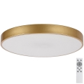 Rabalux - Lámpara de techo LED regulable LED/60W/230V 3000-6000K + control remoto diámetro 60 cm