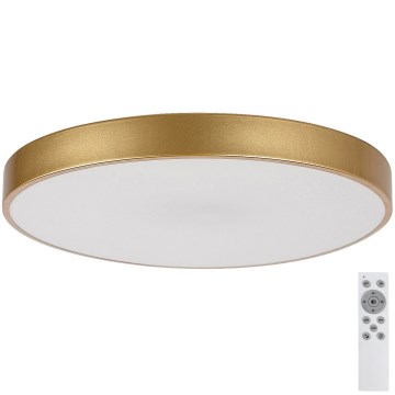 Rabalux - Lámpara de techo LED regulable LED/60W/230V 3000-6000K + control remoto diámetro 60 cm