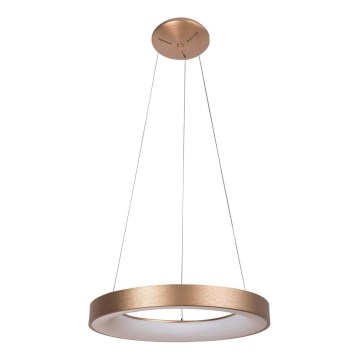 Rabalux - Lámpara LED colgante CARMELLA LED/50W/230V