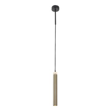 Rabalux - Lámpara LED colgante LED/10W/230V 4000K negro/dorado